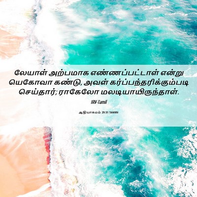 Picture 06 - ஆதியாகமம் 29:31 TAMIRV - லேயாள் அற்பமாக - Bible Verse Picture
