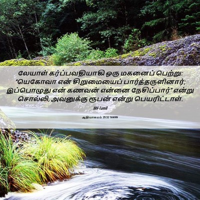 Picture 06 - ஆதியாகமம் 29:32 TAMIRV - லேயாள் - Bible Verse Picture