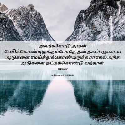 Picture 06 - ஆதியாகமம் 29:9 TAMIRV - அவர்களோடு அவன் - Bible Verse Picture