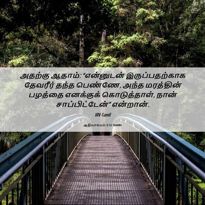 Picture 06 - ஆதியாகமம் 3:12 TAMIRV - அதற்கு ஆதாம்: - Bible Verse Picture