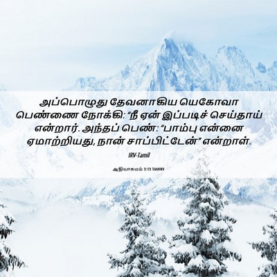 Picture 06 - ஆதியாகமம் 3:13 TAMIRV - அப்பொழுது - Bible Verse Picture