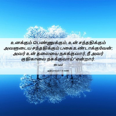 Picture 06 - ஆதியாகமம் 3:15 TAMIRV - உனக்கும் - Bible Verse Picture