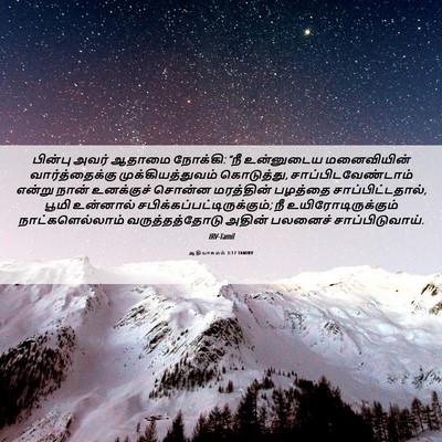 Picture 06 - ஆதியாகமம் 3:17 TAMIRV - பின்பு அவர் ஆதாமை - Bible Verse Picture