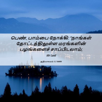 Picture 06 - ஆதியாகமம் 3:2 TAMIRV - பெண், பாம்பை - Bible Verse Picture