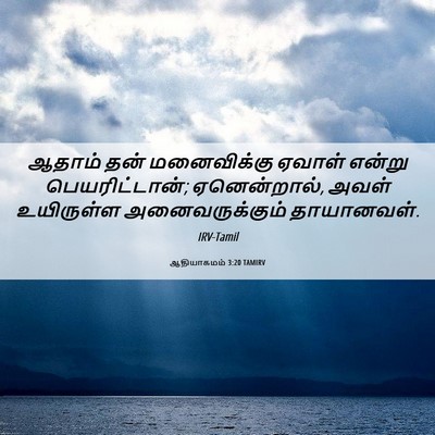 Picture 06 - ஆதியாகமம் 3:20 TAMIRV - ஆதாம் தன் - Bible Verse Picture