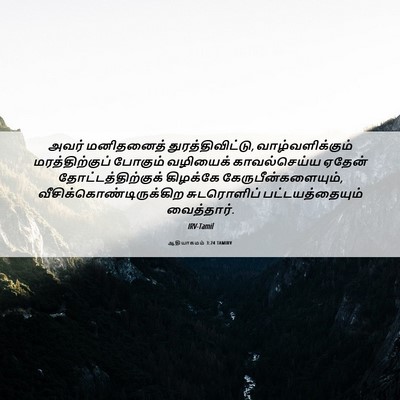 Picture 06 - ஆதியாகமம் 3:24 TAMIRV - அவர் மனிதனைத் - Bible Verse Picture
