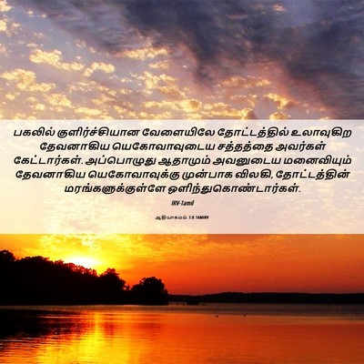 Picture 06 - ஆதியாகமம் 3:8 TAMIRV - பகலில் - Bible Verse Picture