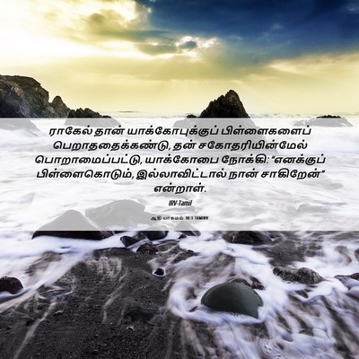 Picture 06 - ஆதியாகமம் 30:1 TAMIRV - ராகேல் தான் - Bible Verse Picture