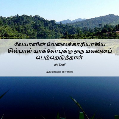 Picture 06 - ஆதியாகமம் 30:10 TAMIRV - லேயாளின் - Bible Verse Picture