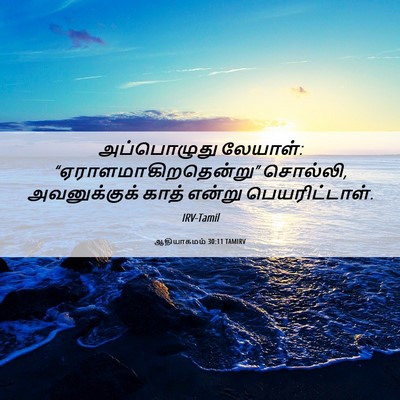 Picture 06 - ஆதியாகமம் 30:11 TAMIRV - அப்பொழுது லேயாள்: - Bible Verse Picture