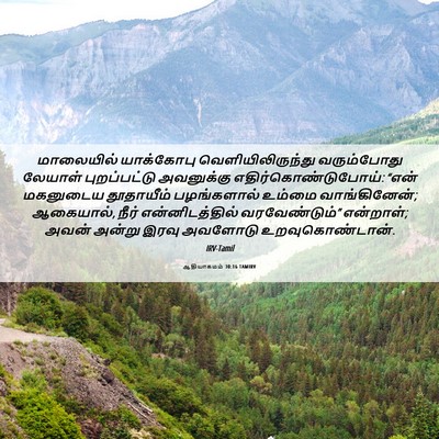 Picture 06 - ஆதியாகமம் 30:16 TAMIRV - மாலையில் யாக்கோபு - Bible Verse Picture