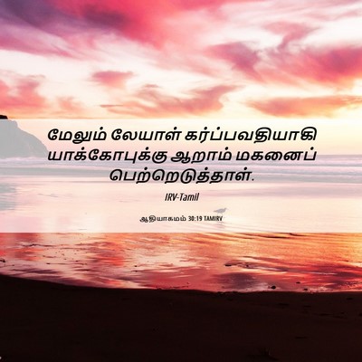 Picture 06 - ஆதியாகமம் 30:19 TAMIRV - மேலும் லேயாள் - Bible Verse Picture
