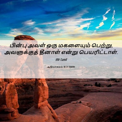 Picture 06 - ஆதியாகமம் 30:21 TAMIRV - பின்பு அவள் ஒரு - Bible Verse Picture