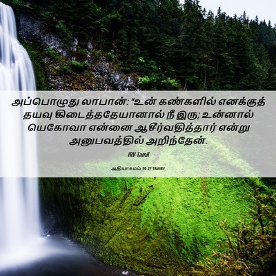 Picture 06 - ஆதியாகமம் 30:27 TAMIRV - அப்பொழுது லாபான்: - Bible Verse Picture