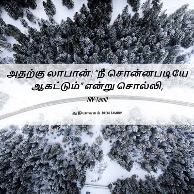 Picture 06 - ஆதியாகமம் 30:34 TAMIRV - அதற்கு லாபான்: “நீ - Bible Verse Picture