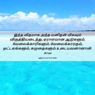Picture 06 - ஆதியாகமம் 30:43 TAMIRV - இந்த விதமாக அந்த - Bible Verse Picture