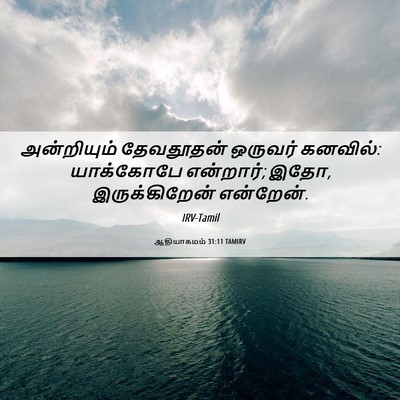 Picture 06 - ஆதியாகமம் 31:11 TAMIRV - அன்றியும் - Bible Verse Picture