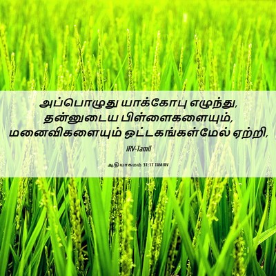 Picture 06 - ஆதியாகமம் 31:17 TAMIRV - அப்பொழுது - Bible Verse Picture
