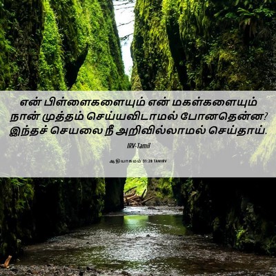 Picture 06 - ஆதியாகமம் 31:28 TAMIRV - என் பிள்ளைகளையும் - Bible Verse Picture