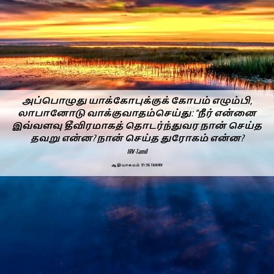 Picture 06 - ஆதியாகமம் 31:36 TAMIRV - அப்பொழுது - Bible Verse Picture