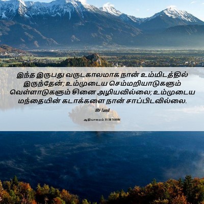 Picture 06 - ஆதியாகமம் 31:38 TAMIRV - இந்த இருபது - Bible Verse Picture