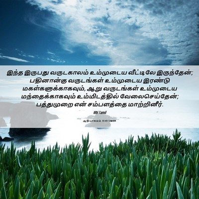 Picture 06 - ஆதியாகமம் 31:41 TAMIRV - இந்த இருபது - Bible Verse Picture