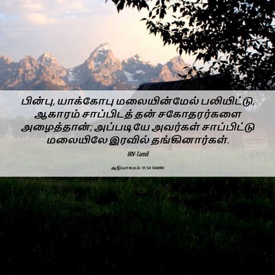 Picture 06 - ஆதியாகமம் 31:54 TAMIRV - பின்பு, யாக்கோபு - Bible Verse Picture