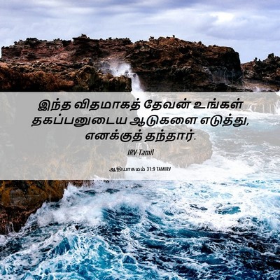 Picture 06 - ஆதியாகமம் 31:9 TAMIRV - இந்த விதமாகத் - Bible Verse Picture