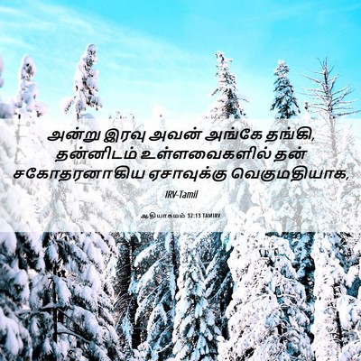 Picture 06 - ஆதியாகமம் 32:13 TAMIRV - அன்று இரவு அவன் - Bible Verse Picture