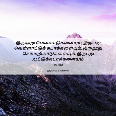 Picture 06 - ஆதியாகமம் 32:14 TAMIRV - இருநூறு - Bible Verse Picture