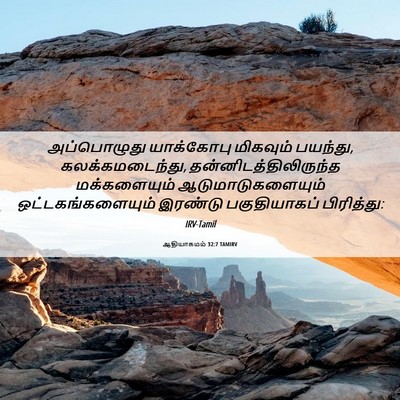Picture 06 - ஆதியாகமம் 32:7 TAMIRV - அப்பொழுது - Bible Verse Picture