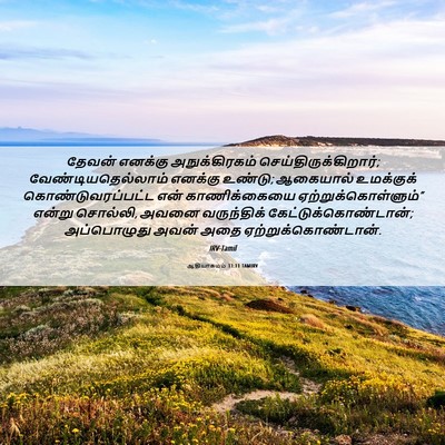 Picture 06 - ஆதியாகமம் 33:11 TAMIRV - தேவன் எனக்கு - Bible Verse Picture