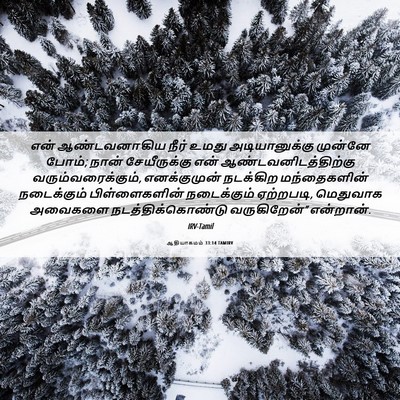 Picture 06 - ஆதியாகமம் 33:14 TAMIRV - என் ஆண்டவனாகிய - Bible Verse Picture