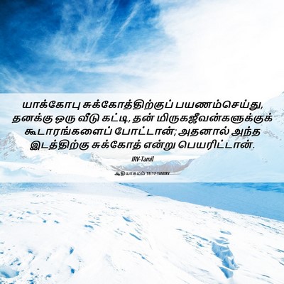 Picture 06 - ஆதியாகமம் 33:17 TAMIRV - யாக்கோபு - Bible Verse Picture