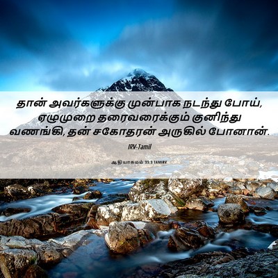 Picture 06 - ஆதியாகமம் 33:3 TAMIRV - தான் அவர்களுக்கு - Bible Verse Picture