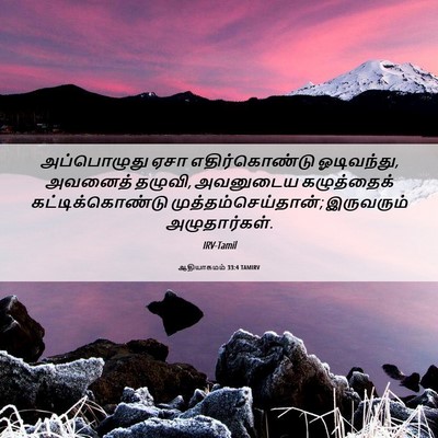 Picture 06 - ஆதியாகமம் 33:4 TAMIRV - அப்பொழுது ஏசா - Bible Verse Picture