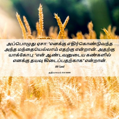Picture 06 - ஆதியாகமம் 33:8 TAMIRV - அப்பொழுது ஏசா: - Bible Verse Picture