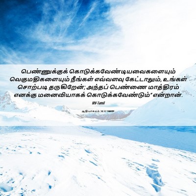 Picture 06 - ஆதியாகமம் 34:12 TAMIRV - பெண்ணுக்குக் - Bible Verse Picture