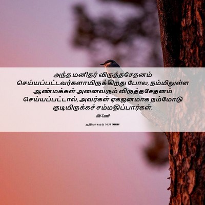 Picture 06 - ஆதியாகமம் 34:22 TAMIRV - அந்த மனிதர் - Bible Verse Picture