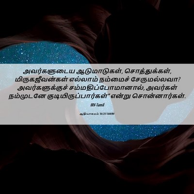 Picture 06 - ஆதியாகமம் 34:23 TAMIRV - அவர்களுடைய - Bible Verse Picture