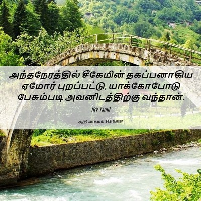 Picture 06 - ஆதியாகமம் 34:6 TAMIRV - அந்தநேரத்தில் - Bible Verse Picture