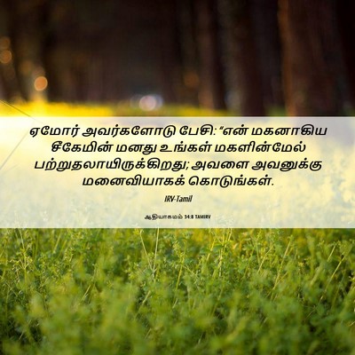 Picture 06 - ஆதியாகமம் 34:8 TAMIRV - ஏமோர் அவர்களோடு - Bible Verse Picture