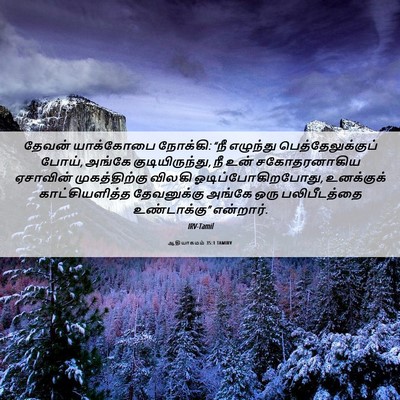 Picture 06 - ஆதியாகமம் 35:1 TAMIRV - தேவன் யாக்கோபை - Bible Verse Picture