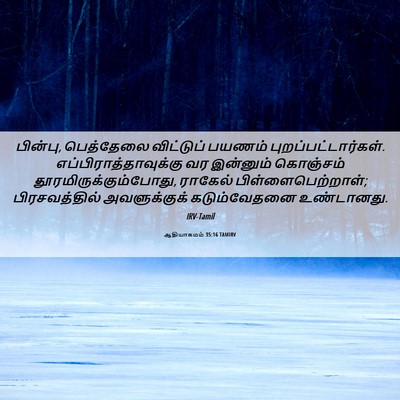 Picture 06 - ஆதியாகமம் 35:16 TAMIRV - பின்பு, பெத்தேலை - Bible Verse Picture