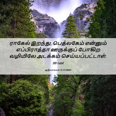 Picture 06 - ஆதியாகமம் 35:19 TAMIRV - ராகேல் இறந்து, - Bible Verse Picture