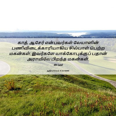 Picture 06 - ஆதியாகமம் 35:26 TAMIRV - காத், ஆசேர் - Bible Verse Picture