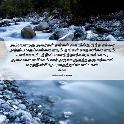Picture 06 - ஆதியாகமம் 35:4 TAMIRV - அப்பொழுது அவர்கள் - Bible Verse Picture