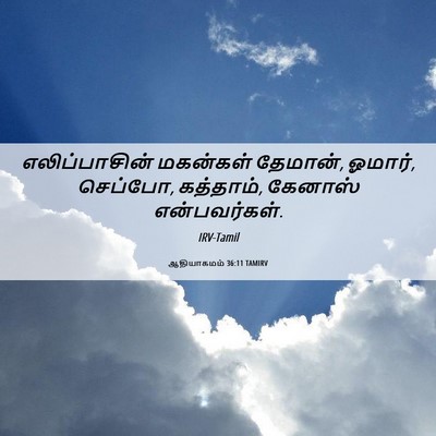 Picture 06 - ஆதியாகமம் 36:11 TAMIRV - எலிப்பாசின் - Bible Verse Picture