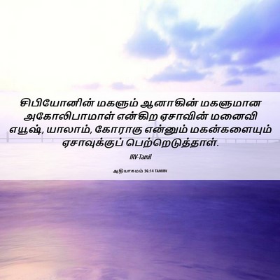 Picture 06 - ஆதியாகமம் 36:14 TAMIRV - சிபியோனின் மகளும் - Bible Verse Picture