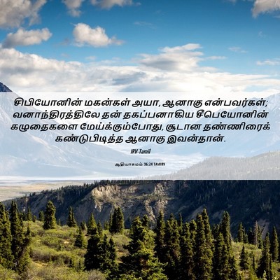 Picture 06 - ஆதியாகமம் 36:24 TAMIRV - சிபியோனின் - Bible Verse Picture